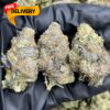 Buy Blueberry Kush Online