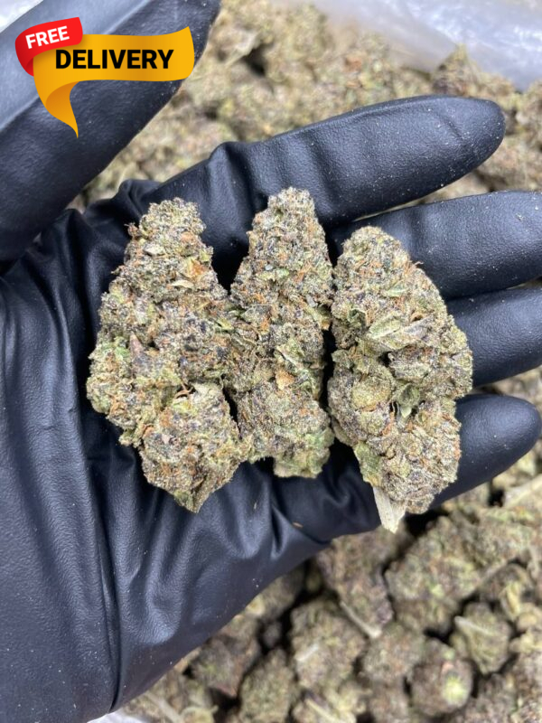 buy cheap grand daddy Purple online