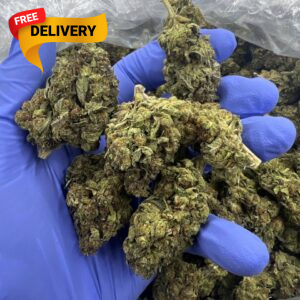 Buy blue dream Online