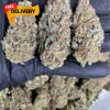 Buy Trainwreck strain Online