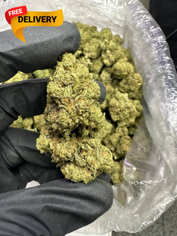 Buy Sour Diesel Online