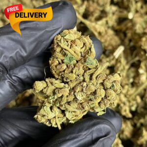 THC Content: 19 – 28% Flavor: Berry, Sweet, Grape Effect: Relaxed, Sleepy, Happy, Euphoric, Hungry where to buy African Buzz strain online